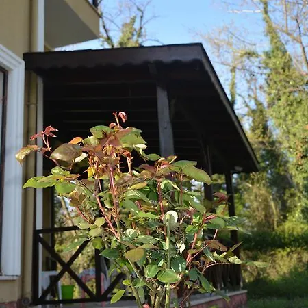 Villa Akasya Senaiye