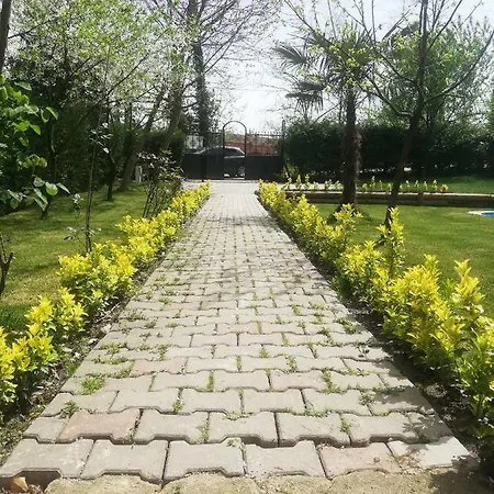 Akasya Senaiye